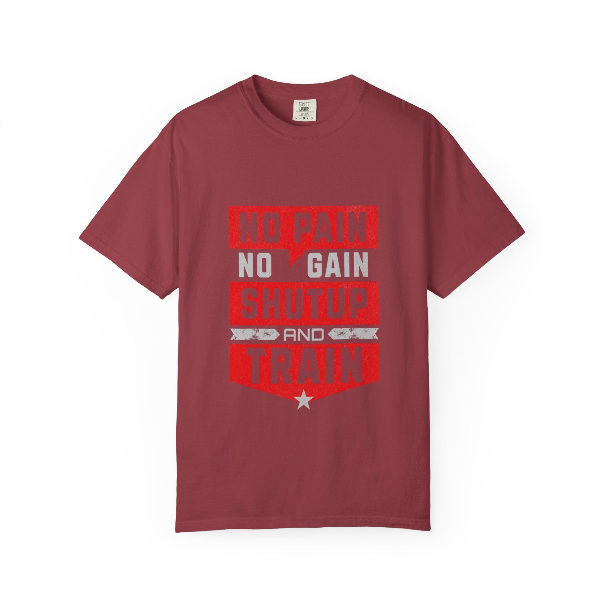 Workout T-Shirt — "No Pain No Gain Shut Up and Train" Motivational Gym Tee